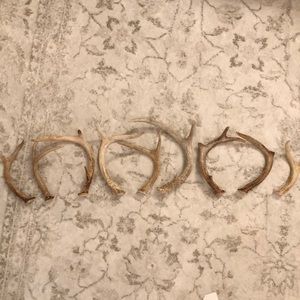 Set of 9 deer antlers